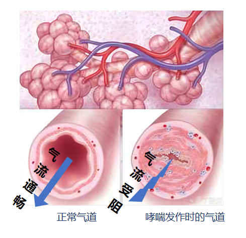 &#113;&#121;&#21315;&#20159;&#45;&#113;&#121;&#21315;&#20159;&#40;&#20013;&#22269;&#41;&#19968;&#31449;&#24335;&#26381;&#21153;&#23448;&#26041;&#32593;&#31449;